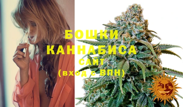 мяу мяу кристалл Гусь-Хрустальный