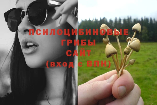 молекула духа Гусиноозёрск