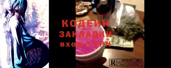 гидра Гусев