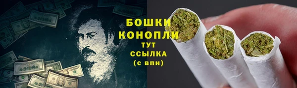 мяу мяу кристалл Гусь-Хрустальный