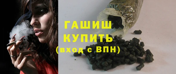 гидра Гусев