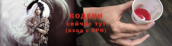 молекула духа Гусиноозёрск
