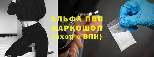 гидра Гусев