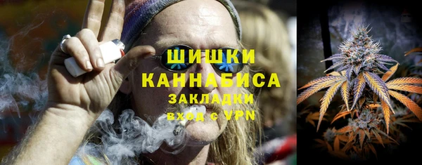 гидра Гусев