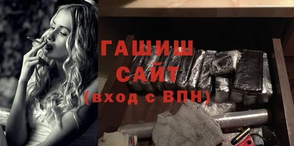 гидра Гусев