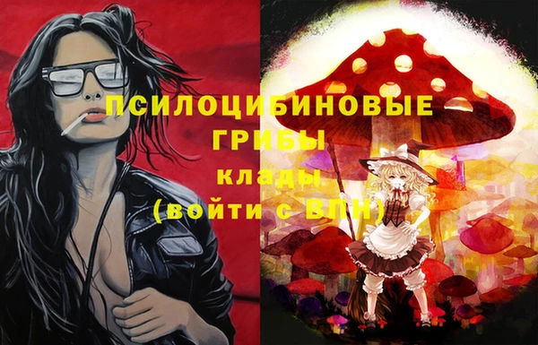 мяу мяу кристалл Гусь-Хрустальный