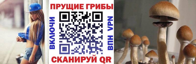 Псилоцибиновые грибы прущие грибы  Стерлитамак 